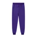 Detailed close-up shot of the purple sweatpants highlighting the adjustable drawstring waist and snug cuffs. - Purple
