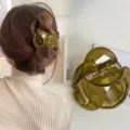Vue détaillée de la pince à cheveux vert olive translucide, accessoire élégant pour coiffure. - Vert