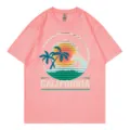 Pink short sleeve crewneck t-shirt featuring a retro California sunset and palm tree graphic. - Pink