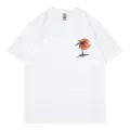 Casual white short sleeve t-shirt featuring a sunset palm tree graphic on front. - S / Tops / White