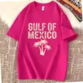 Gulf of Mexico pink cotton short sleeve crew neck casual t-shirt for men and women - S / Tops / Rose Red
