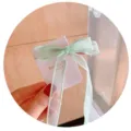 Elegant light green mesh ribbon bow hair clip for girls, Korean style hair accessory - Tassel Hair Clip / Green