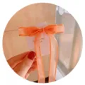 Elegant peach organza ribbon bow hair clip for girls, stylish Korean hair accessory - Tassel Hair Clip / Orange