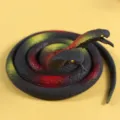 Giocattolo realistico a forma di serpente di gomma a due teste per scherzi - Cobra a due teste / 73cm / Nero