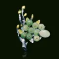 Broche vintage de branche de fruit vert pour femme et homme, élégant bijou d'épingle de manteau. - Broche Bouquet de Pierres / Vert