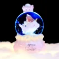 Cute whale girl snow globe music box with glowing light, creative birthday gift for kids. - P Large 100 Snowfall + Light + Music / Pink Dolphin with Hat