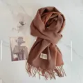 Modischer koreanischer Herbst Winter Kaschmirgefühl Fransen Schal warmer eleganter Schal - Kaffeebraun