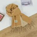 Koreanischer Stil Winter neuer doppelseitiger Kaschmir-Gefühl Schal für Damen warmer Schal 1pc - 68x200cm / Dunkelcamel Beige