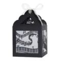 Boîte cadeau lanterne en papier découpé au laser notes de musique avec ruban blanc. - Style Lumineux Notes de Musique / Pack de 15 / Noir (Avec Ruban Ivoire)