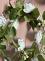 Détail de la guirlande lumineuse de fleurs de roses artificielles LED pour décoration murale - Roses Vertes