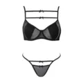 Black sexy mesh lingerie set with underwire bra and thong featuring cute bow straps. - S / Top And Bottom / Black