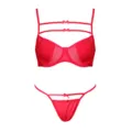 Sexy red mesh bra and thong lingerie set with cute decorative straps and bows for women. - S / Top And Bottom / Rose Red