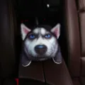 3D husky car tissue box detail, cute animal armrest storage plush cushion for auto interior. - Staring Husky