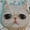 Cute cat face coin purse with zipper closure, soft fabric material, portable mini wallet for daily. - Very wronged