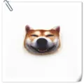 Close-up detail of 3D Shiba Inu head plush brooch badge, cute animal apparel accessory. - Laughing Shiba Inu
