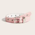 Cintura in denim rosa sfrangiata con occhielli a stella e fibbia argentata alla moda - Rosa (1751) / 100cm