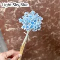 Detailed macro view of light blue mini dried Brazilian star flowers for DIY floral decorations - 50 Brushes / Light Sky Blue