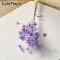 Detailed view of dried light purple Brazilian star flowers for DIY aroma bottle crafts - 50 Brushes / Light Purple