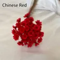 Primer plano de mini flores secas brasileñas en rojo china para manualidades DIY - 50 brochas / Rojo China