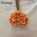 Macro detail of mini orange Brazilian star flowers for DIY aromatherapy and crafts - 50 Brushes / Orange