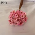 Primer plano de flores secas estrella rosa de Brasil para decoración DIY - 50 brochas / Rosa