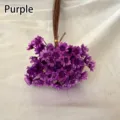 Vista de cerca de pequeñas flores de estrella de Brasil moradas para manualidades - 50 brochas / Púrpura