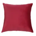Solid Red Velvet Cushion Cover Soft Square Pillow Case for Living Room Sofa Decor - 30x45cm (Without Core) / Velvet Crimson