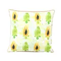 Aquarell Papaya Kissenbezug mit Muster für Wohnzimmer Sofa Schlafzimmer Dekoration Stoff - PE7295P-1