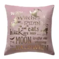 Pink velvet foil Halloween quote pillow cover for modern living room sofa decor cushion - 45*45cm (Without Core) / PE8409P-2