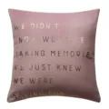Pink velvet pillow cover with gold letter print, modern decorative square cushion variant. - 45*45cm (Without Core) / PE8407P-2