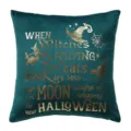 Teal velvet Halloween decorative throw pillow case featuring gold foil witch quotes for sofa. - 45*45cm (Without Core) / PE8409P-3