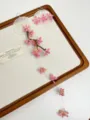 Vintage dried flower long tassel earrings featuring white mother of pearl and pink berries. - Pink Shell Style (Z-527)