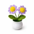 Häkeln Gänseblümchen Topfpflanze, handgemachte lila Blumen Variante mit weißem Topf für Deko. - 2-Kopf Gänseblümchen (Lila)
