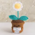 Pianta in vaso all'uncinetto supporto emotivo margherita decorazione scrivania e regalo. - Margherita