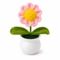 Handgehäkelte Gänseblümchen Topfpflanze Detailansicht, süße Strick Deko für Büro und Zuhause. - Einzelkopf Gänseblümchen (Rosa)