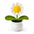Nahaufnahme Detail der handgefertigten Häkel-Gänseblume im weißen Topf als schicke Deko. - Einzelkopf Gänseblümchen (Weiß)
