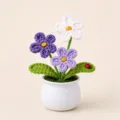 Handgemachte Häkel-Topfpflanze Strickblume Tischdekoration Deko-Blumentopf Geschenkidee - 3-Kopf Vergissmeinnicht (Lila)
