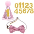 Rosa Pailletten Haustier Geburtstagshut und Fliege Set mit Glitzer Ziffern für Hunde. - Dreiteiliges Set / Rosa