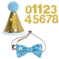 Hund Geburtstag Party Hut und Fliege Set mit Glitzer Zahlen für Haustier Feier Kostüm - Dreiteiliges Set / Blau