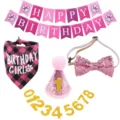 Rosa glitzerndes Hunde-Geburtstagsparty-Set mit Halstuch Hut Schleife und Zahlen - 5-teiliges Set / Rosa