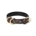 Collier pour animal marron stylé avec quincaillerie dorée, idéal pour petits chiens et chats. - Marron