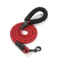 Reflecterende Hondenlijn Duurzame Huisdier Training Leash met Comfortabele Handvat - Lengte 1,5m, dikte 1,2cm / Rood