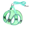 Atmungsaktives Mesh Haustier Hund Katze Geschirr und Leine Set für kleine Hunde gassi. - XS (5–7 Jin) / Cyan