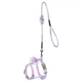 Verloop kleur katten tuigje en lijn set met pluche vleugels, anti-ontsnapping kattenwandelkoord. - M (Aanbevolen voor 4-8 kg) / Paarse bijen-set