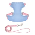 Katten tuigje en riem set, ontsnappingsveilig zacht mesh vest met roze bandjes voor katten. - XS / Blauw