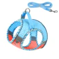 Atmungsaktives Mesh Haustier Hund Katze Geschirr und Leine Set, verstellbare Weste mit Streifen. - XS (5–7 Jin) / Blau Orange