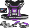 Ensemble de harnais tactique violet pour chien avec sangles réfléchissantes, laisse et collier. - Violet