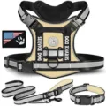 Set imbracatura tattica per cani con guinzaglio e collare, gilet di servizio riflettente. - XS / Kaki