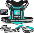 Harnais pour chien tactique durable gilet de lit reflechissant avec laisse et collier. - Vert Turquoise