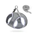 Grey mesh pet harness and leash set, breathable vest style with purple plaid trim for cats and small dogs. - M / Gray